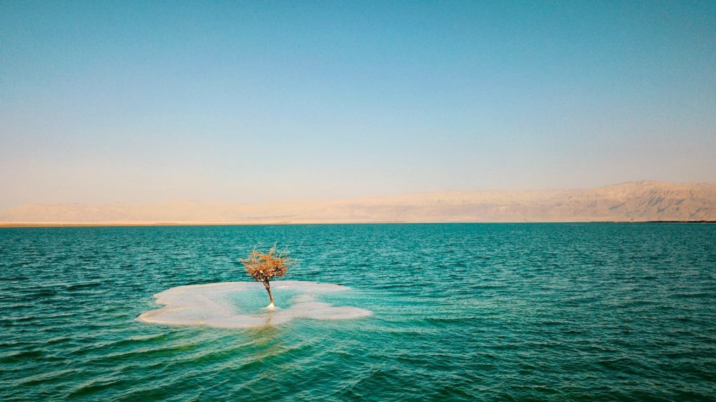 死海 ( Dead Sea, Israel and Jordan)