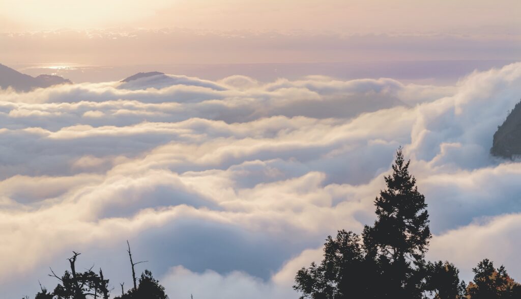 Alishan,Taiwan