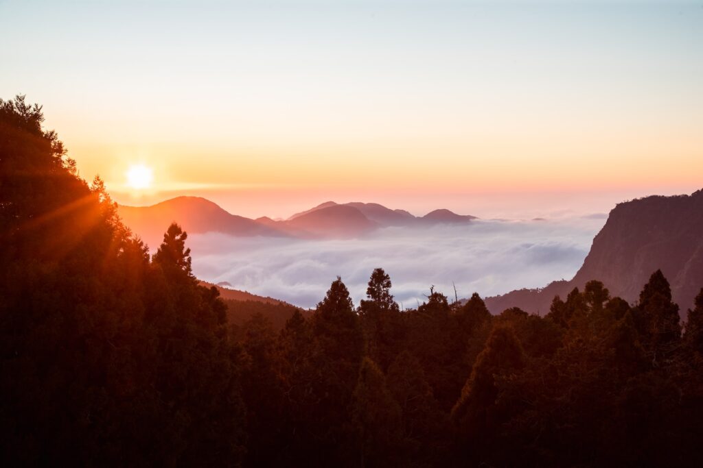 Alishan,Taiwan