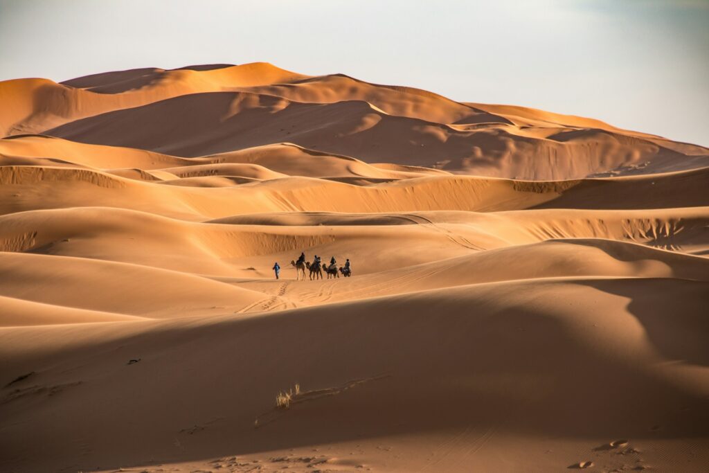 撒哈拉沙漠 (Sahara Desert）