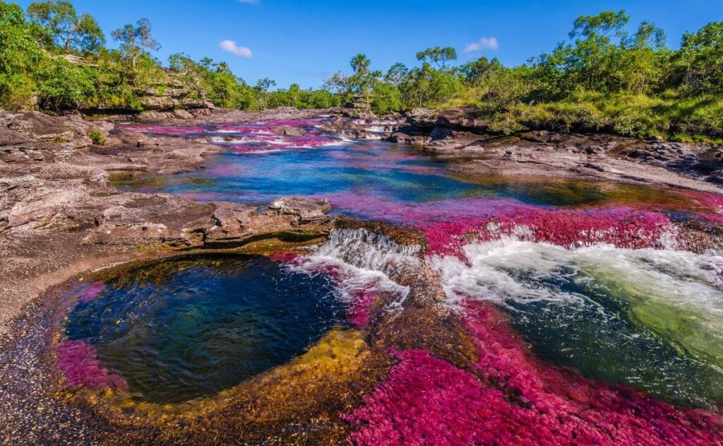 Cano Cristales