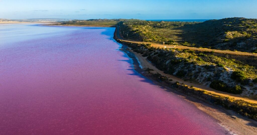 Hutt Lagoon_pink lake