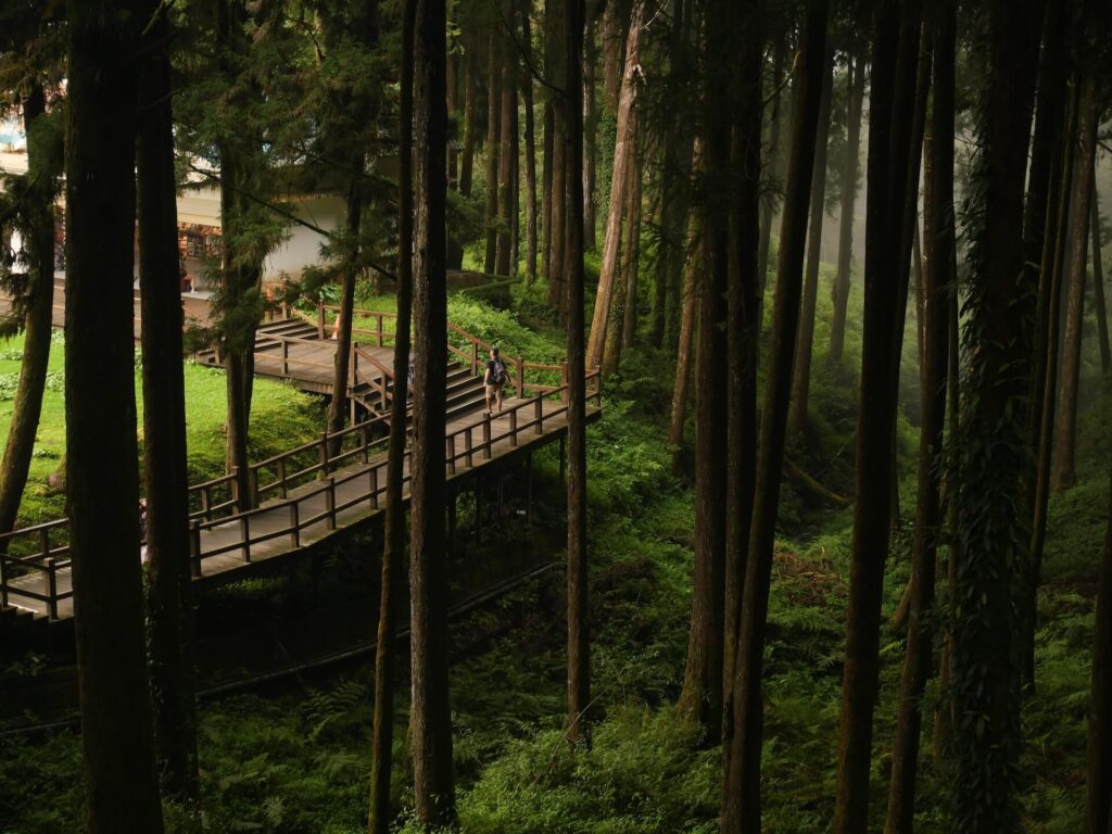 Alishan, Taiwan