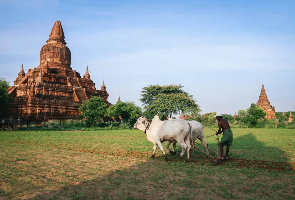 蒲甘 ( Bagan, Myanmar )