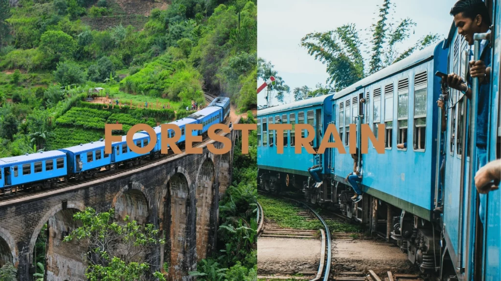 康提-埃拉火車之旅 (Kandy - Ella train, Sri Lanka)