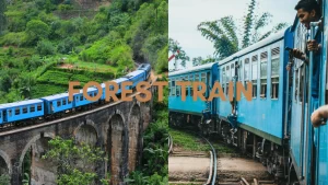 康提-埃拉火車之旅 (Kandy - Ella train, Sri Lanka)