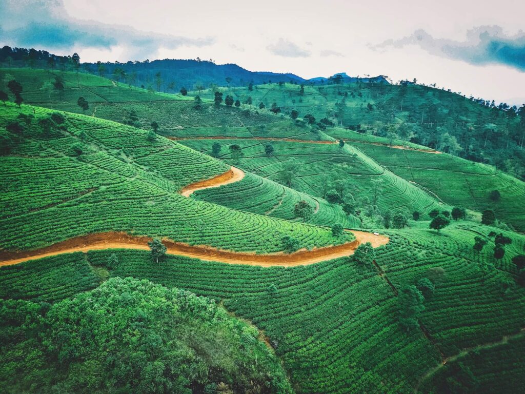 康提-埃拉火車之旅 (Kandy - Ella train, Sri Lanka)