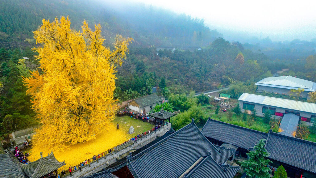 古觀音禪寺 ( Gu Guanyin Buddhist Temple,Xian)