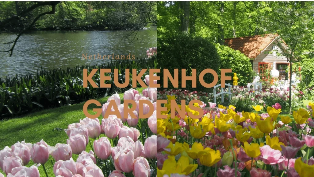 Keukenhof Gardens , Netherlands