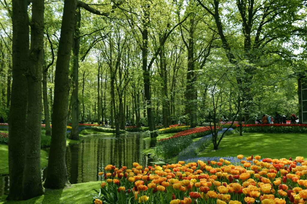 Keukenhof Gardens , Netherlands