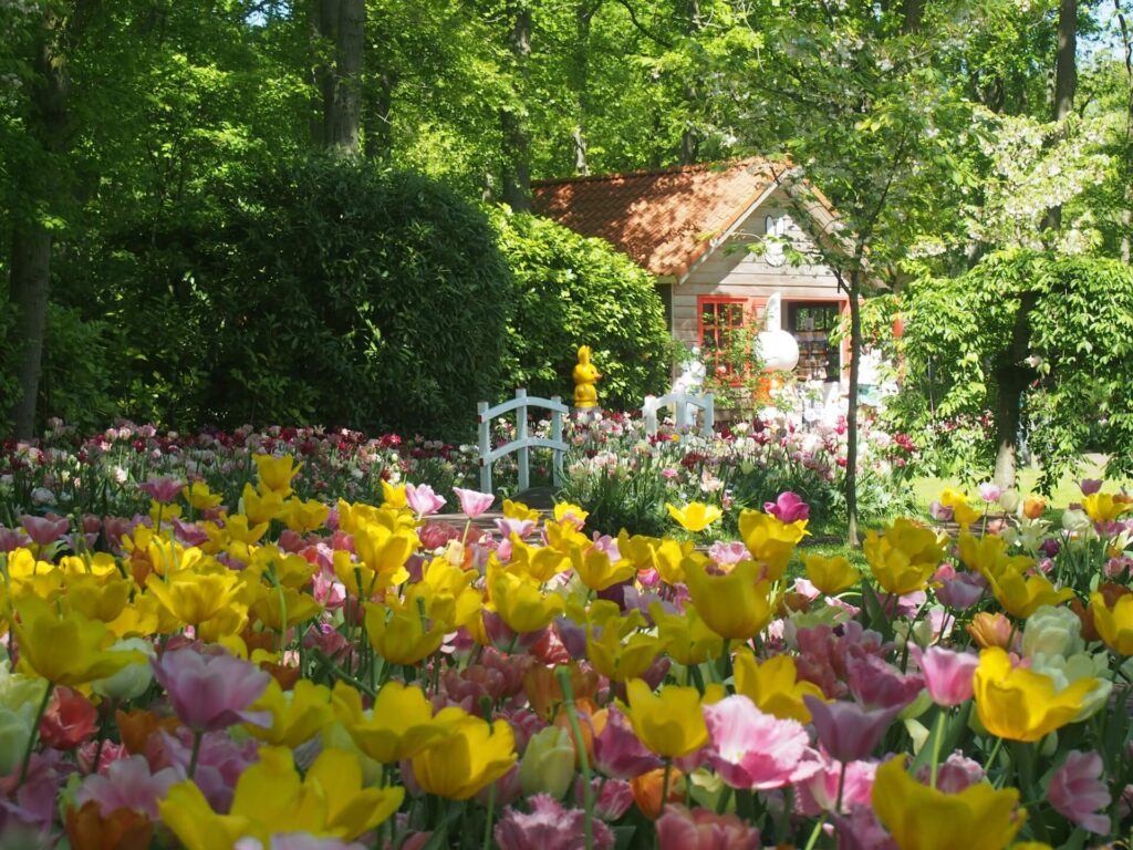 Keukenhof Gardens , Netherlands