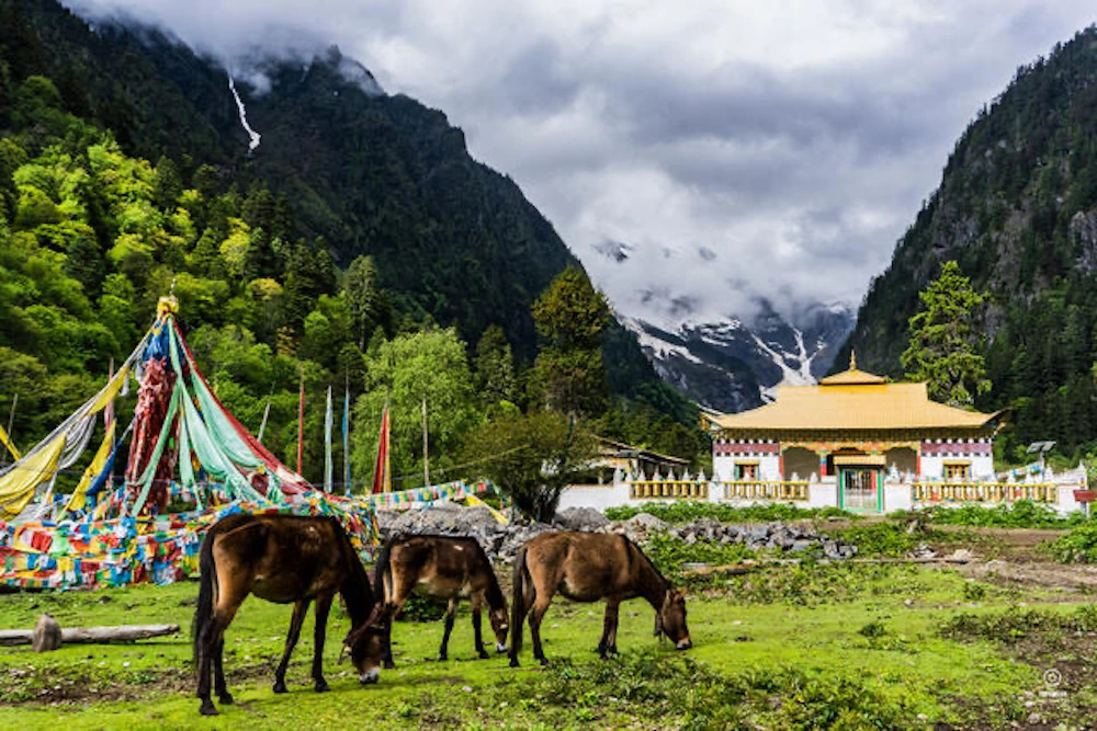 雨崩村 (Yubeng Village, China)